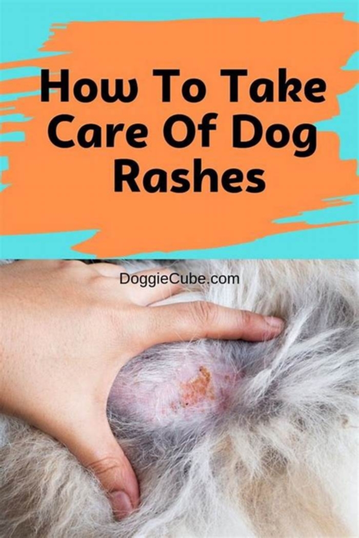 Can I get a rash from my dog?