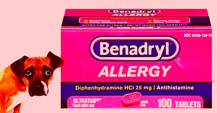 Can I give my dog Benadryl for hives