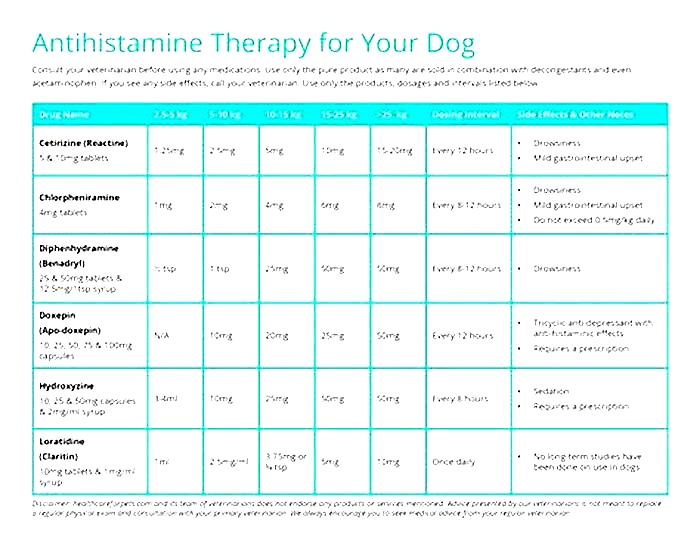 Can I give my dog antihistamines?