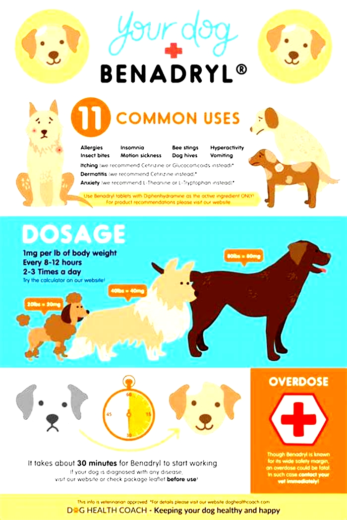 Can I mix Benadryl and Zyrtec for my dog?