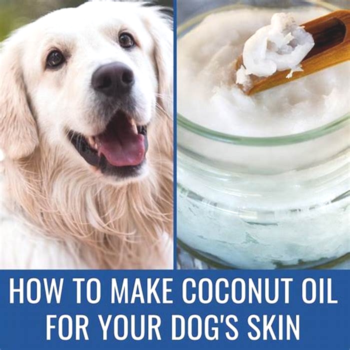 Can I put 100 coconut oil on my dog