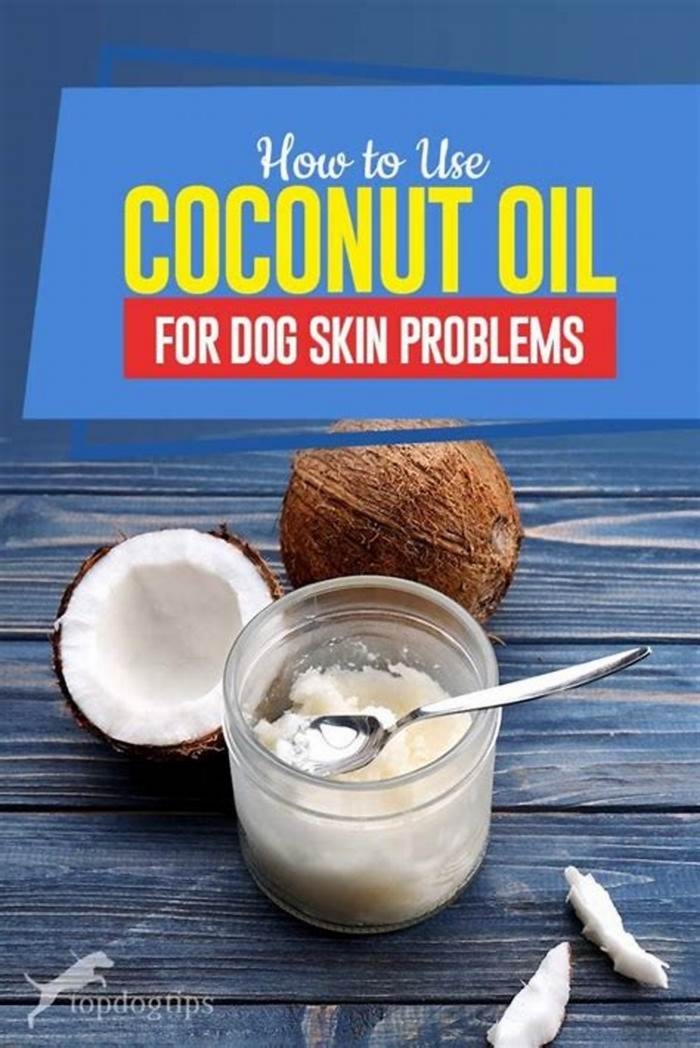 Can I put coconut oil directly on my dog's skin?