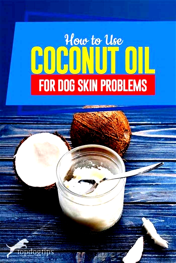 Can I put coconut oil on my dog s hives