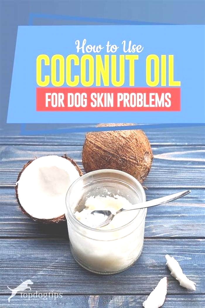 Can I put coconut oil on my dogs hives?