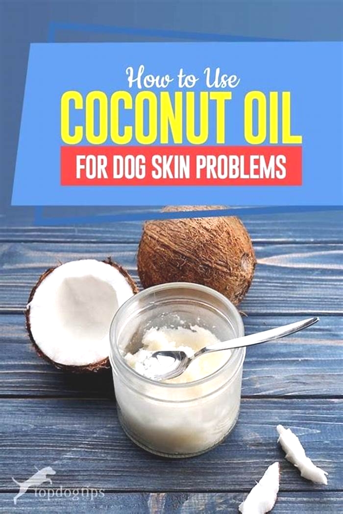 Can I rub coconut oil on my dogs skin?