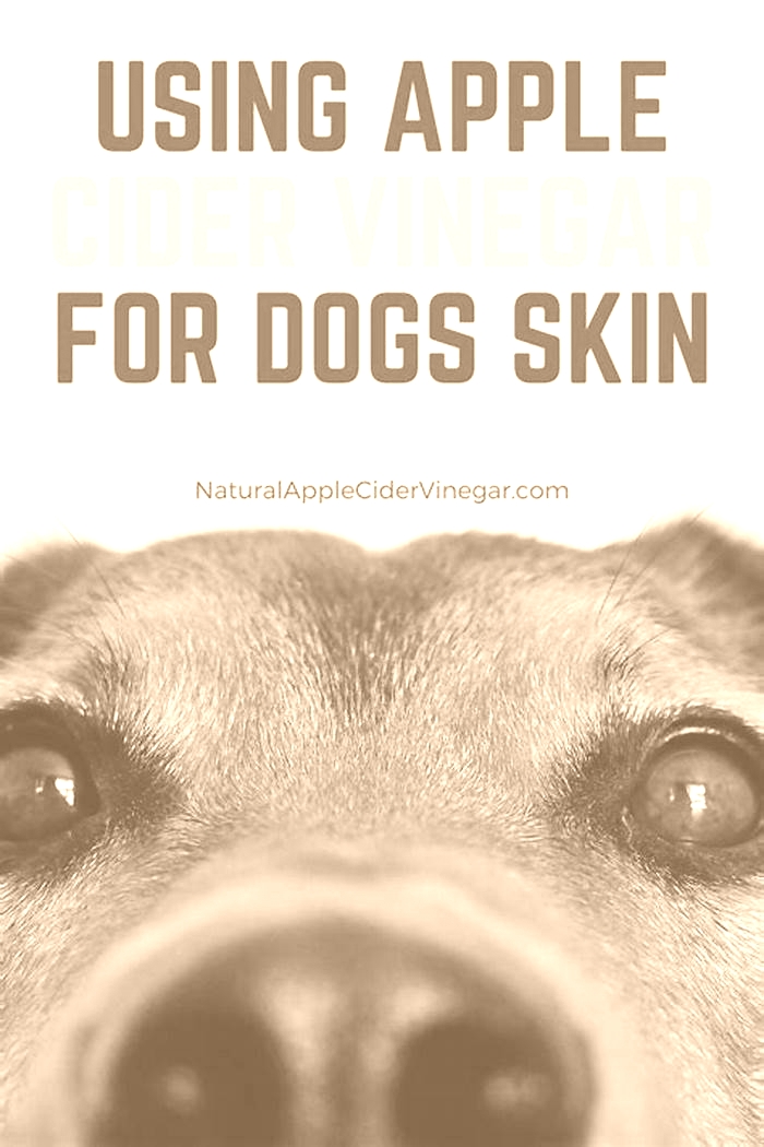 Can apple cider vinegar help dog skin allergies?