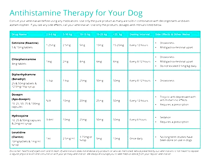 Can dogs have two antihistamines a day?