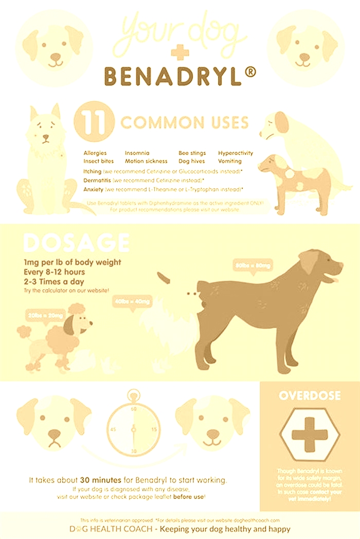 Can dogs react badly to Benadryl?