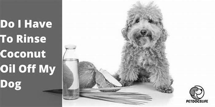 Do I have to rinse my dog after coconut oil?