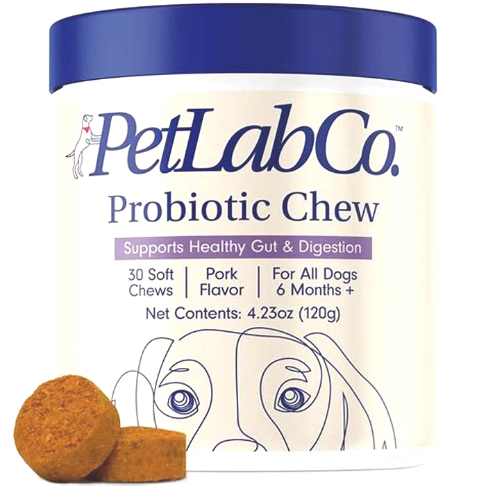 Do probiotics help itchy dogs