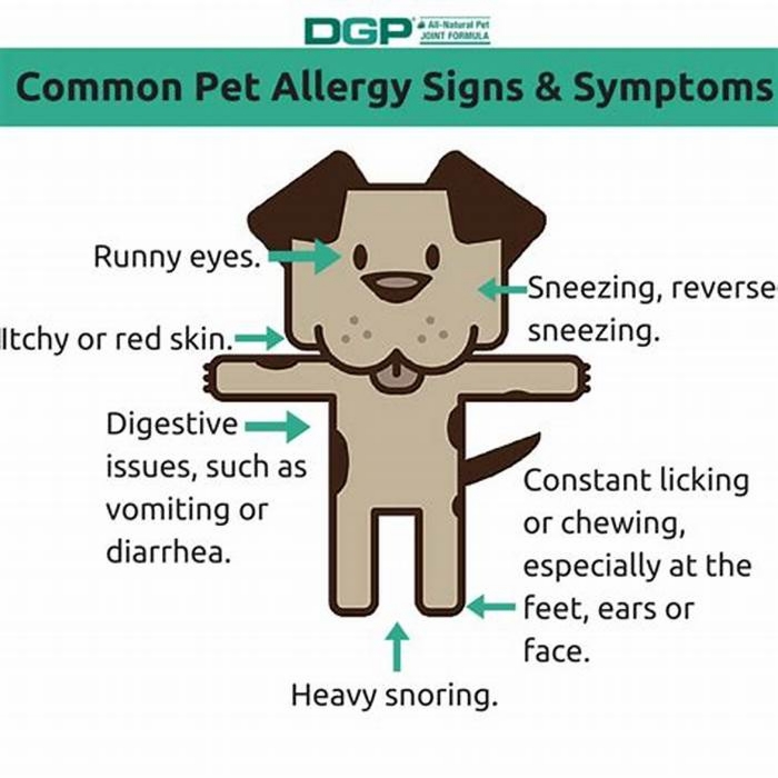 How do I find out what my dog is allergic to?