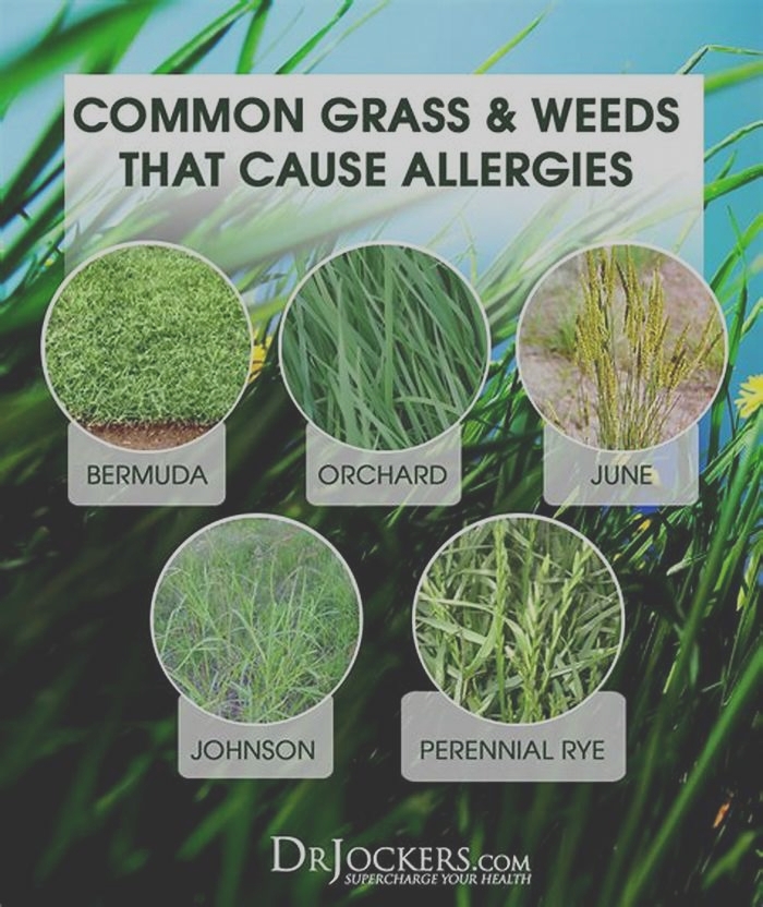 How long do grass allergies last?