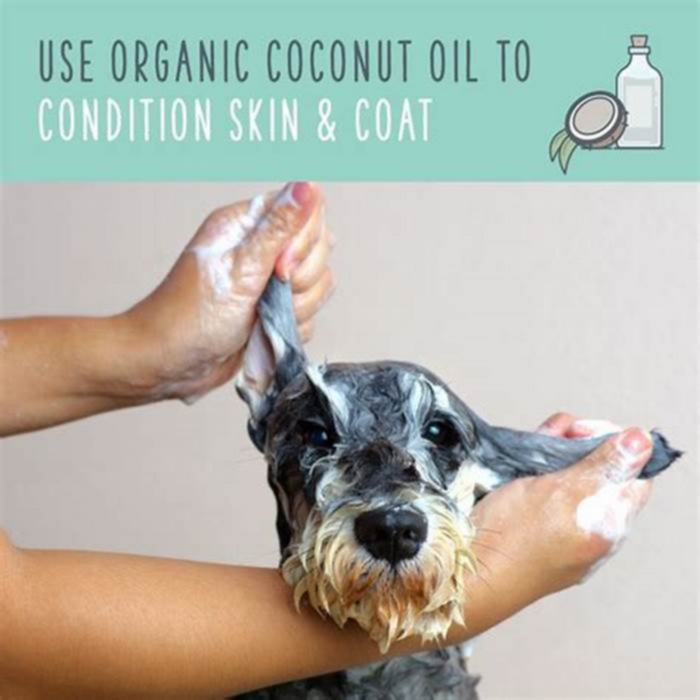 How long should I leave coconut oil on my dogs fur