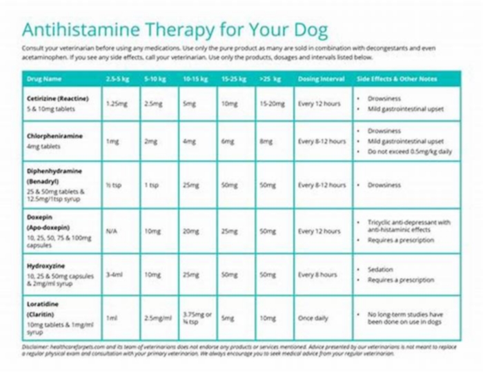 How many times a day can I give my dog antihistamine?