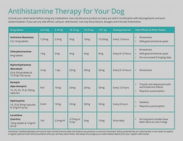 How much human antihistamine can I give my dog