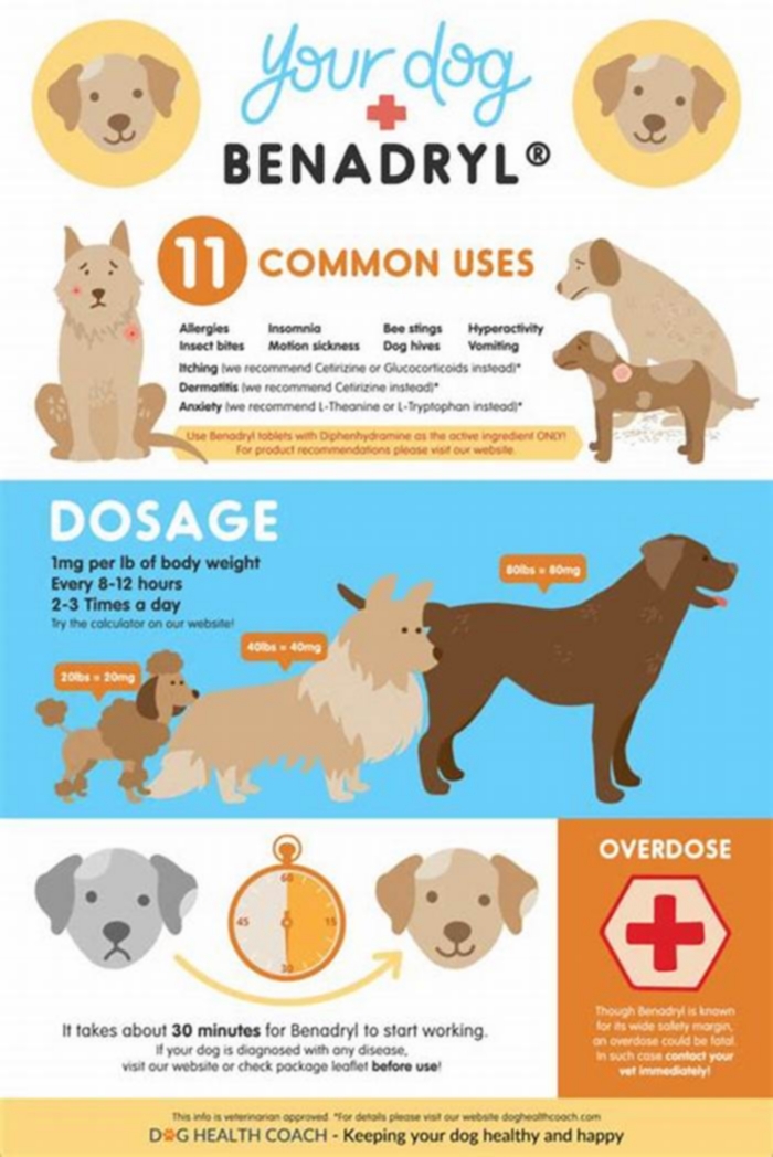 How often should I give my dog Benadryl for hives