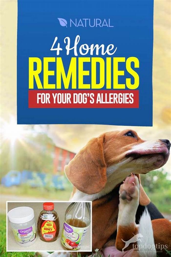 How to get rid of dog allergies naturally