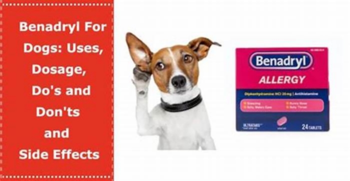 Is 25mg of Benadryl too much for a dog?