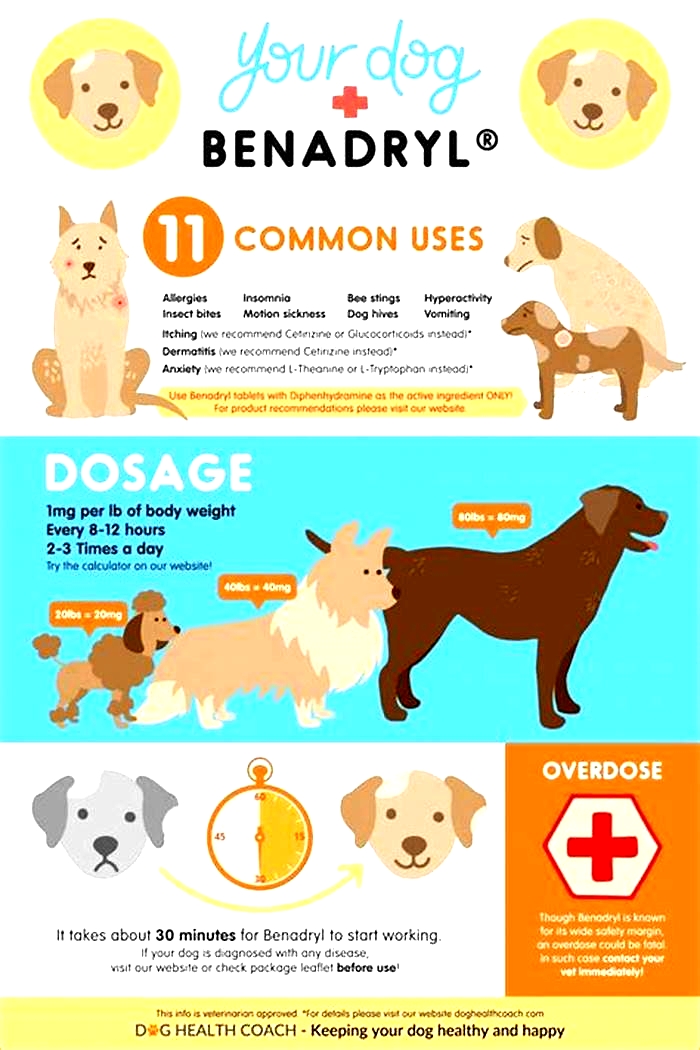 Is Zyrtec or Benadryl better for dogs