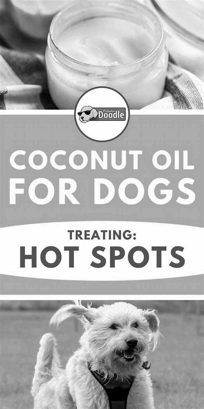 Is coconut oil good for dog hot spots