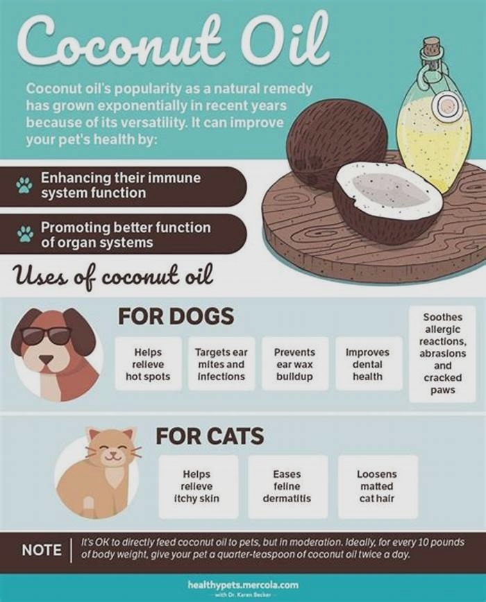 Is coconut oil good for pitbulls?