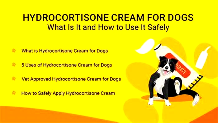 Is hydrocortisone or Benadryl better for hives?