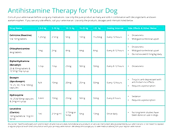 What antihistamine calms dogs down