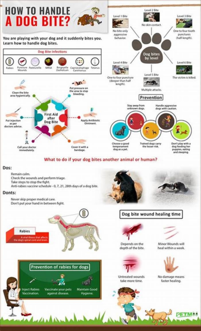 What are the odds of getting a rabies bite from a dog?