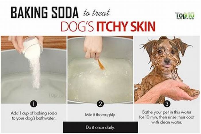 What can I bathe my dog in for itchy skin?