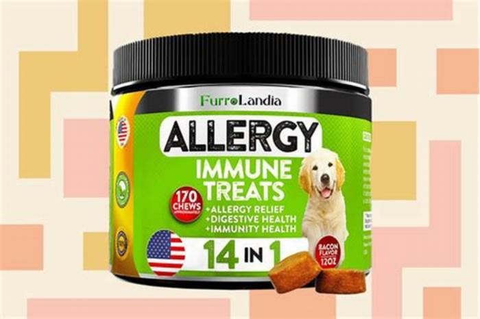 What can I give my dog for allergy hives