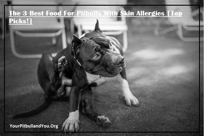 What do you feed a pitbull with skin allergies