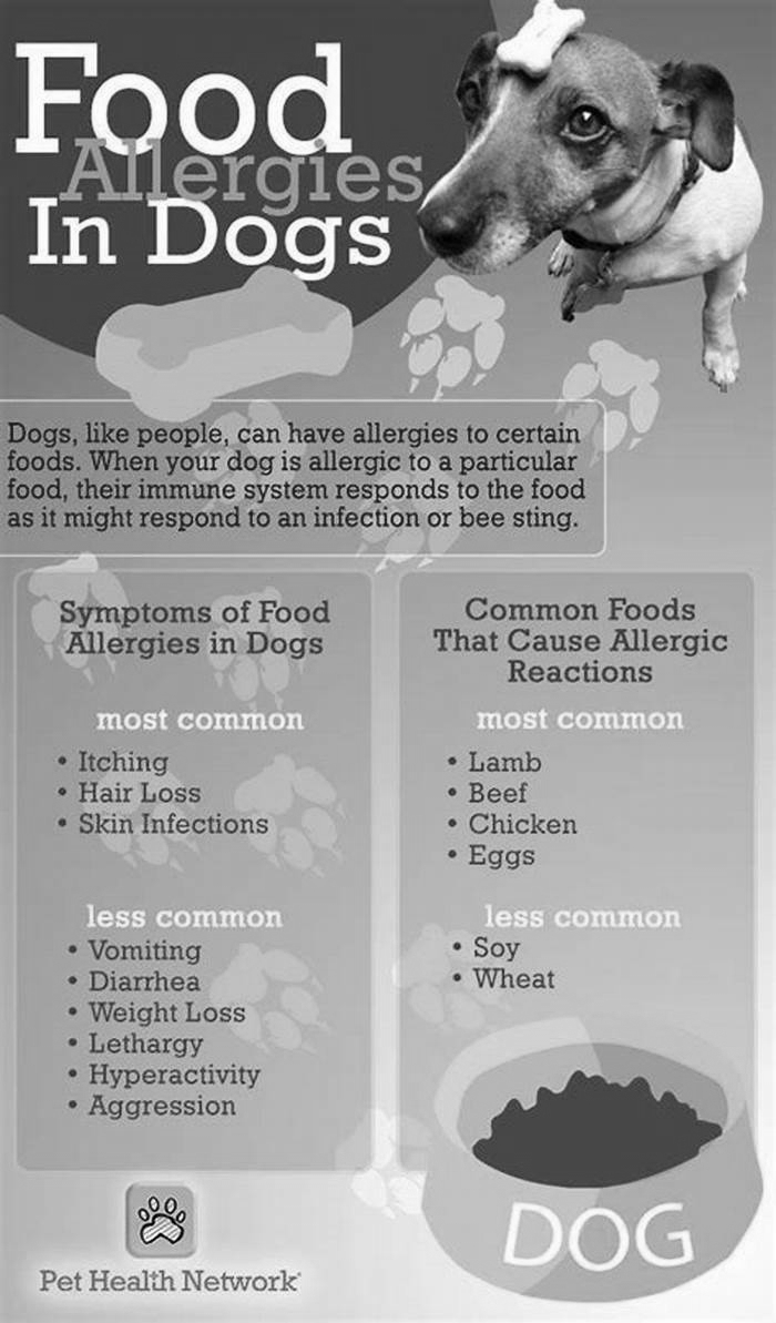 What foods are pitbulls most allergic to?