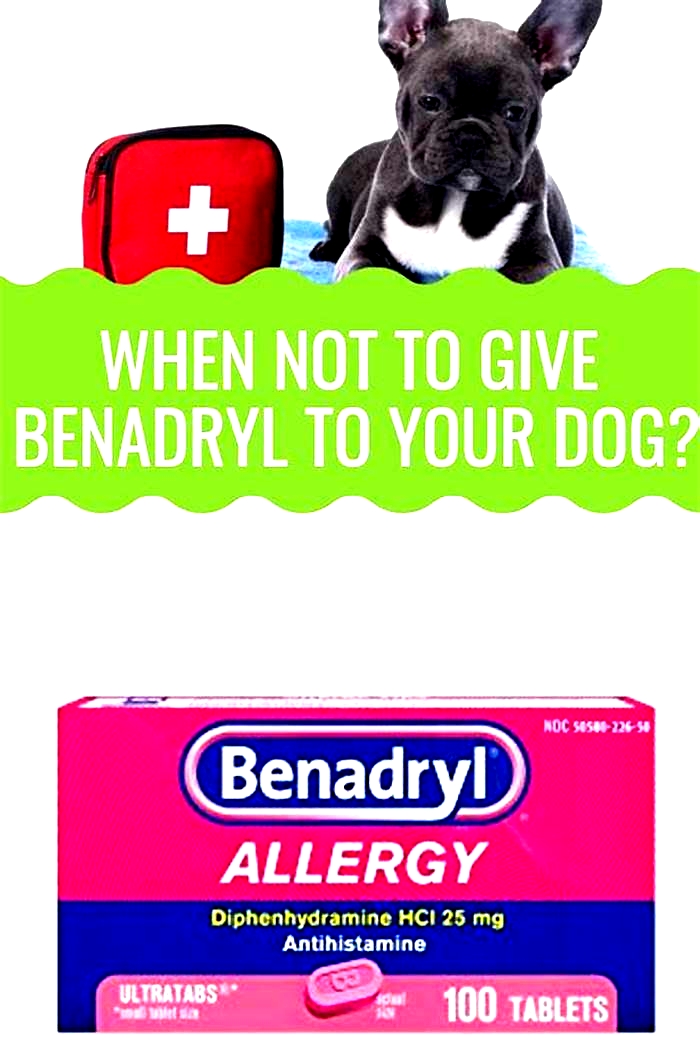 What happens if I give my dog too much Benadryl?