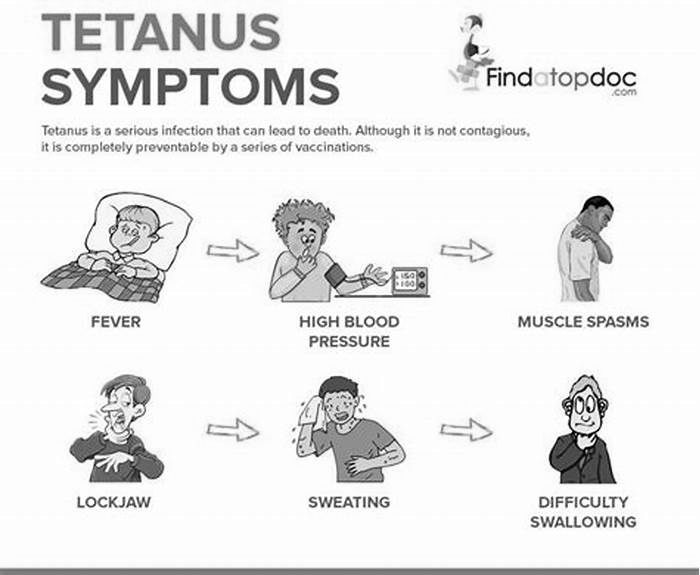 What happens if you don t get a tetanus shot after a dog scratch?