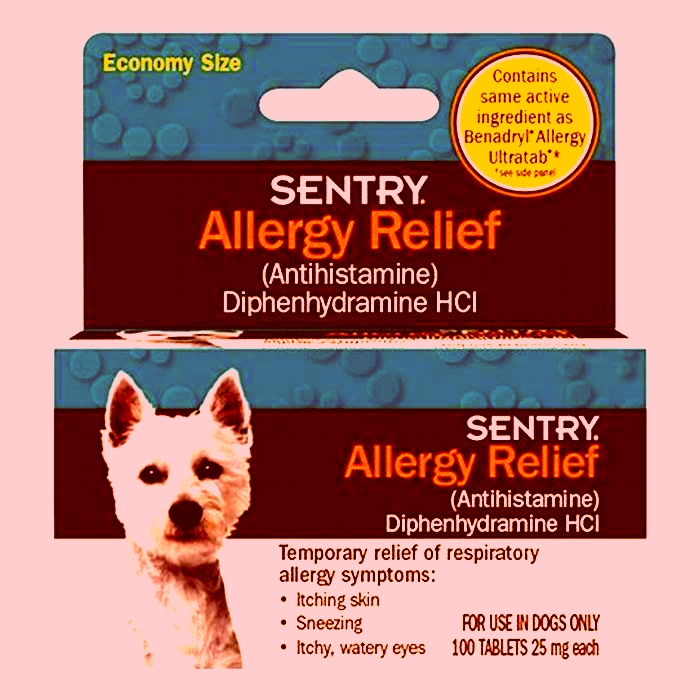 What human allergy medicine is safe for dogs?