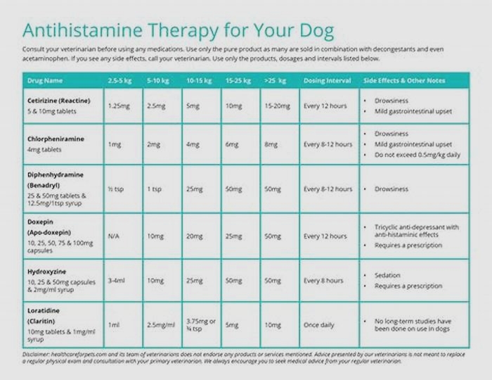 What is a 24 hour antihistamine for dogs?