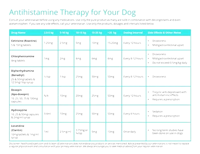 What is the best antihistamine for a dog