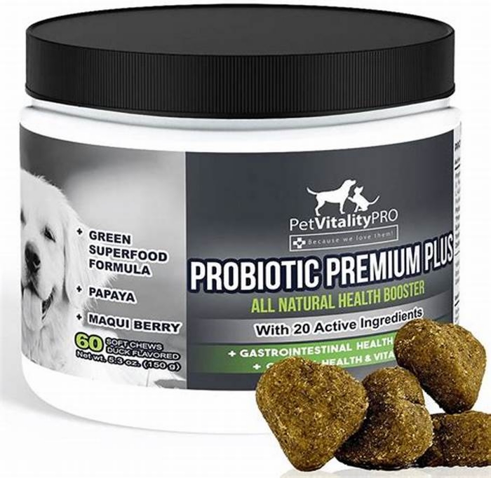 What probiotic kills yeast in dogs?