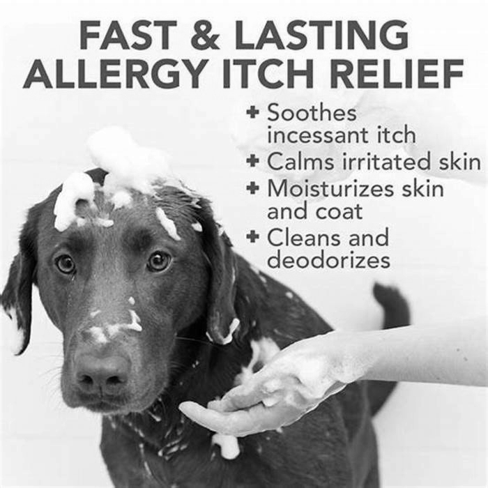 What should I wash my dog with for itchy skin