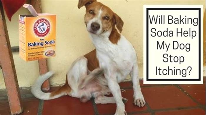 Will baking soda help my dog stop itching